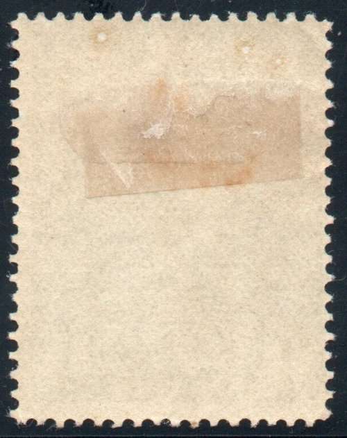 Canada Newfoundland 1919 Caribou 1c green mounted mint. SG 130. Cat £3,75 (2018)