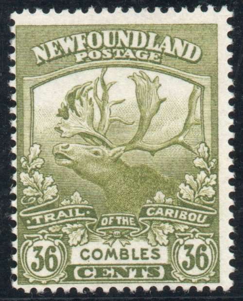 Canada Newfoundland 1919 Caribou 36c sage-green very lightly mounted mint. SG 141. Cat £24 (2018)