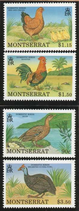 Montserrat 1991 Domestic Birds set of 4 unmounted mint. SG 847-850. Cat £4,90 (2012)