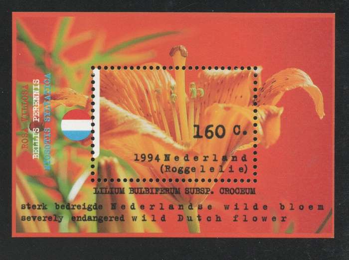 Netherlands 1994 Wild Flowers. Orange Lily Mini Sheet unmounted mint. SG MS 1722 Cat £3,50 (2012)