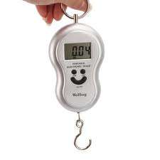 Portable Digital 40kg Hook Scale