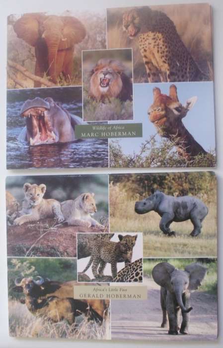 Postcards - Namibia Wildlife x 18 - mint
