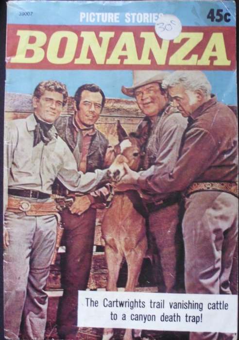 Comic Book - Bonanza - The Cartwrights - Rare