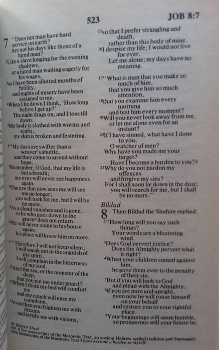 Bible - The Bible - NIV - 1997 - SC