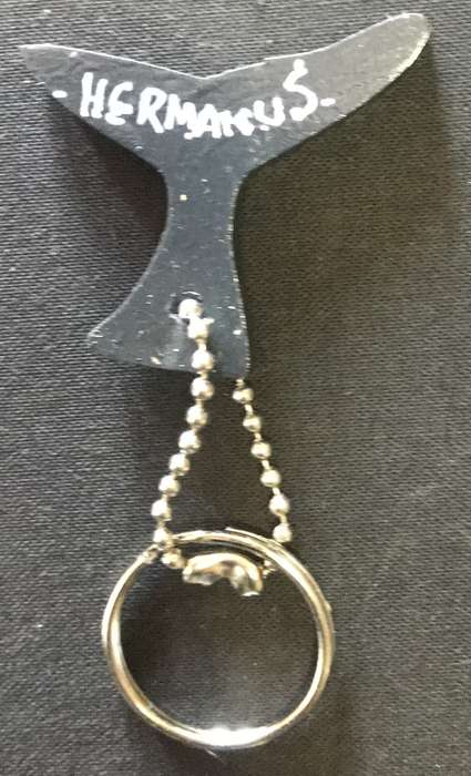 Keyrings x 20 - Wooden With Hermanus Painted On.