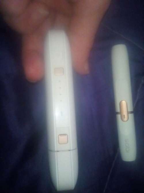IQOS SEGARET