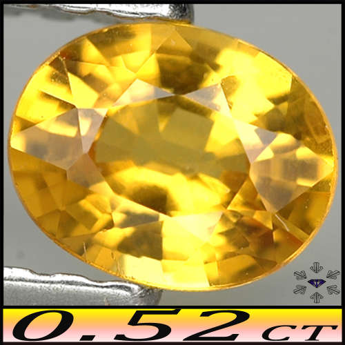 0.52ct Fancy Golden Vivid Yellow Sapphire Gem - VVS - Natural Thailand Oval (Gentle Heat)