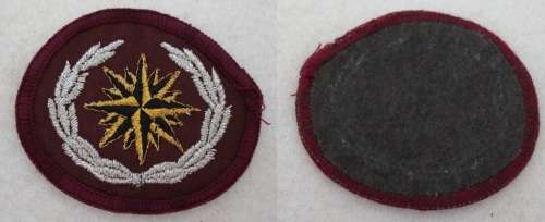 Special Forces (8th issue) Beret badge - lurex wire on cloth with embroided border - (ORIGINAL)