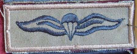 Special Forces/Recce/Parabats - PARAWINGS - post 1994
