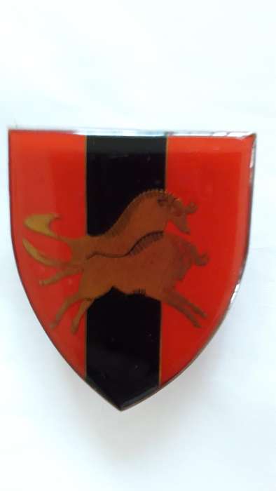 SADF   METAL FLASH    " NATAL COMMAND (PROVOST UNIT)"   3 PINS