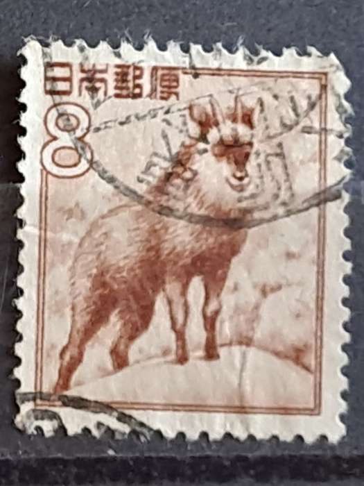1952-1954 - Japan   - 8 - Capricornis crispus