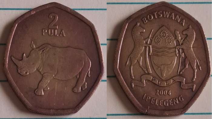 2004 - Botswana - 2 - White rhinoceros - Demonetised Jul 2014 - Brass plated steel