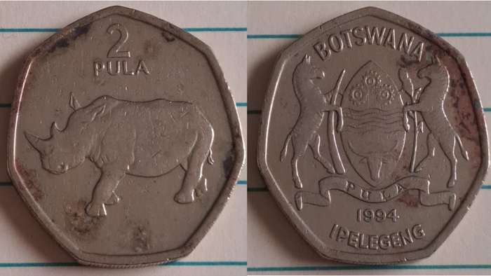 1994 - Botswana - 2 - White rhinoceros - Demonetised Jul 2014 - Nickel brass