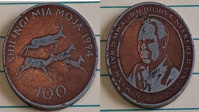 1994 - Tanzania - 100 - Julius K. Nyerere - Demonetised - No - Brass plated steel