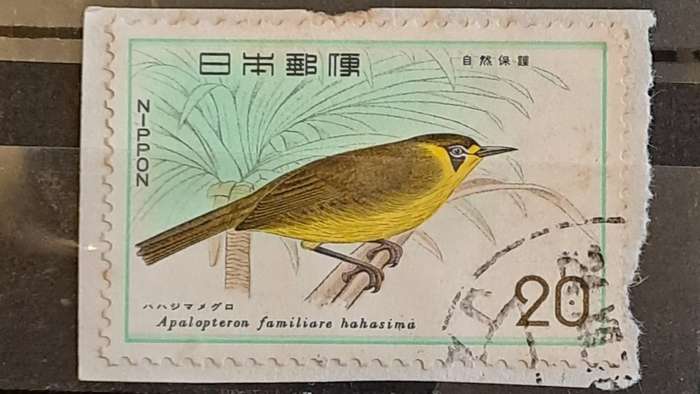 1975 - Nippon (Japan) - 20 - Nature Conservation - Black-Breasted Leaf Turtle