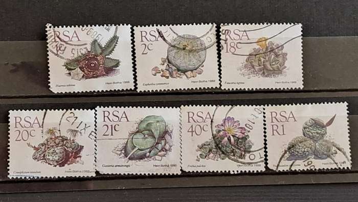 South Africa : Succulents  : Lot of 7