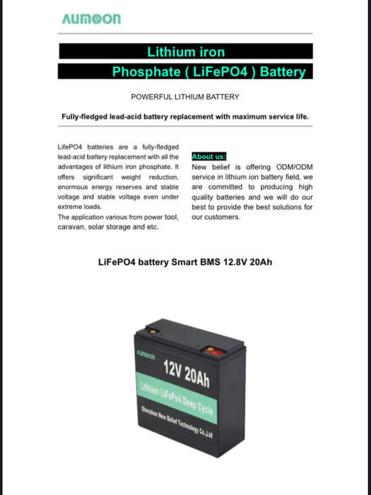 Aumoon 12V-20A LiFePo4 Battery with Smart BMS