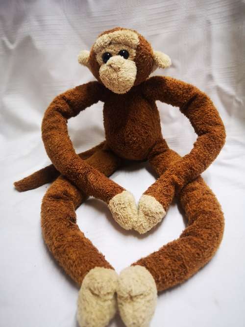 Jungolo from Africa - monkey