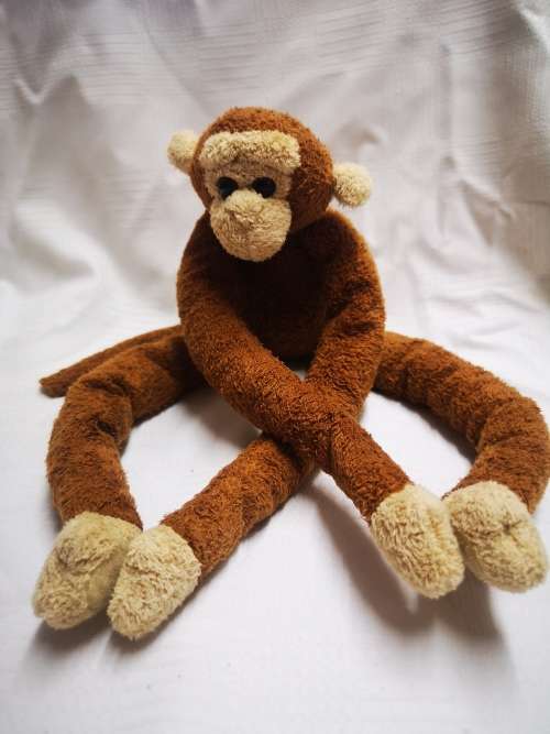 Jungolo from Africa - monkey