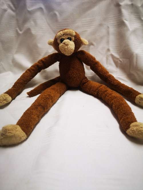 Jungolo from Africa - monkey