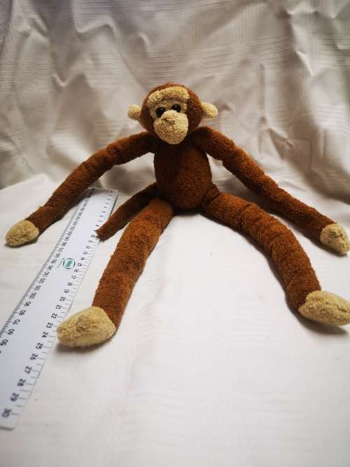 Jungolo from Africa - monkey