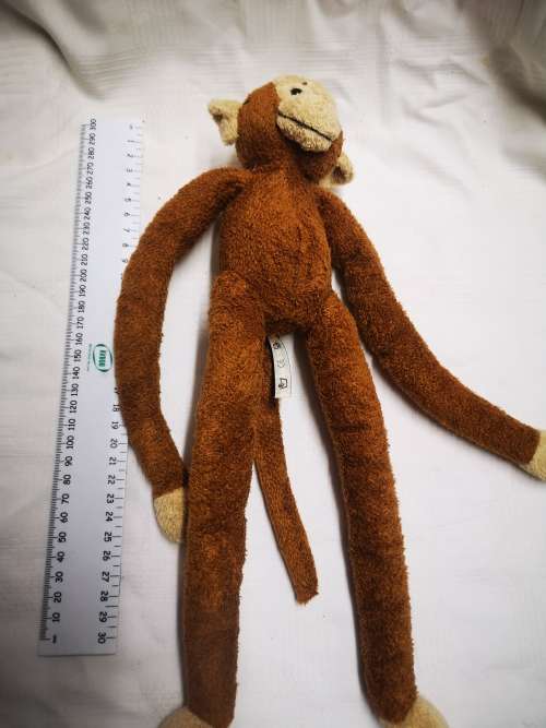 Jungolo from Africa - monkey