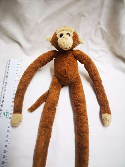 Jungolo from Africa - monkey