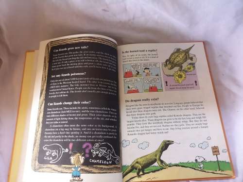Charlie Brown's 'cyclopedia volume 3