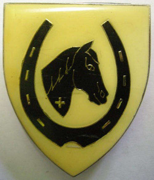 SADF Equestrian Centre Shoulder Flash Only Two Pins Dinnes 4484 Note Scratches