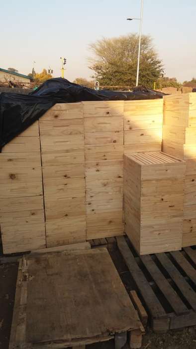 Bee Hives