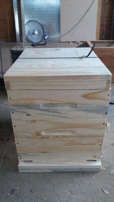 Bee hives