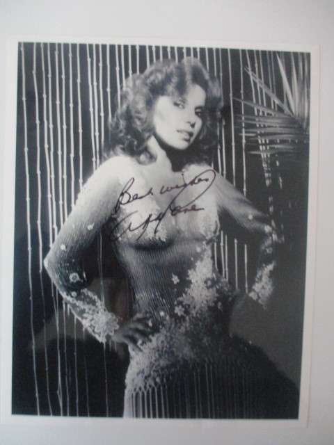 AUTOGRAPHED / SIGNED - ABBE LANE -  SEXY ACTOR  A4 SIZE
