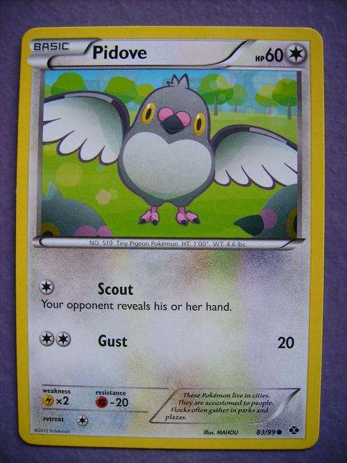 Pokemon Pidove