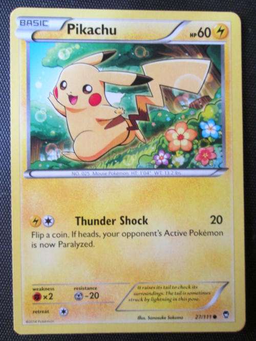 Pokemon Furious fists Pikachu