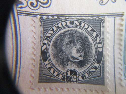 NEWFOUNDLAND LOT OF 4 OLD MOUNTED STAMPS