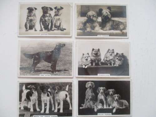 CIGARETTE CARDS /  SENIOR SERVICE / DOGS PHOTOGRAPH CARDS LOT OF  6 CARDS