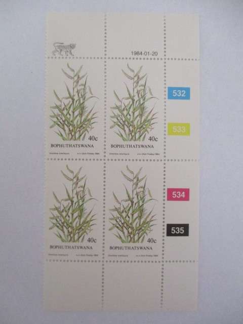 BOPHUTHATSWANA - BLOCK OF MINT STAMPS GRASSES 40c STAMPS - 1984