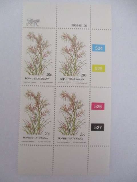 BOPHUTHATSWANA - BLOCK OF MINT STAMPS GRASSES - 20c - 1984