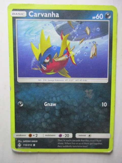 POKEMON TRADING CARD - CARVANHA