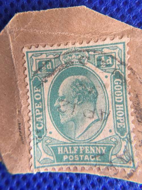 SOUTH AFRICA - USED  CAPE OF GOOD HOPE STAMP
