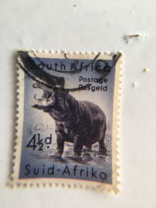 SOUTH AFRICA USED HIPPO STAMP