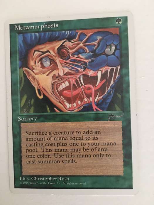 MAGIC THE GATHERING 10 RANDOM CARDS  FOR R40 - GET YOURS NOW!!!!