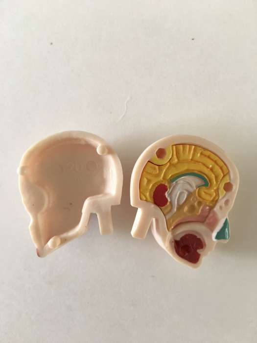 LOVELY SMALL MEDICAL DOLL WITH  REMOVEABLE PARTS