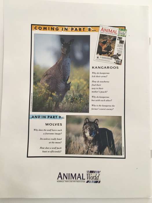 LOVELY MAGAZINE - ANIMAL W0RLD - NO. 7 - BATS - 1993