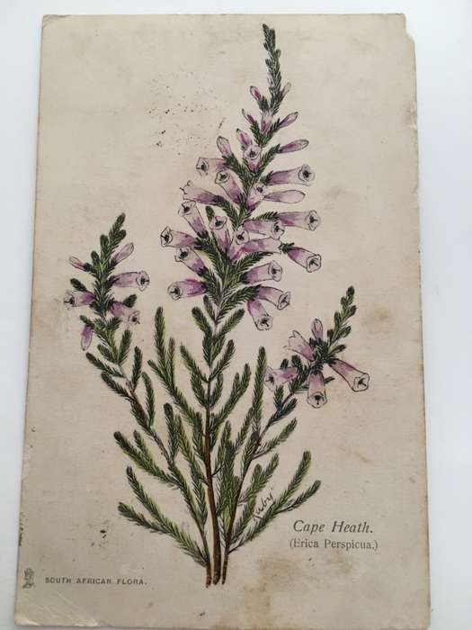 VINTAGE TO ANTIQUE POST CARD WITH STAMP