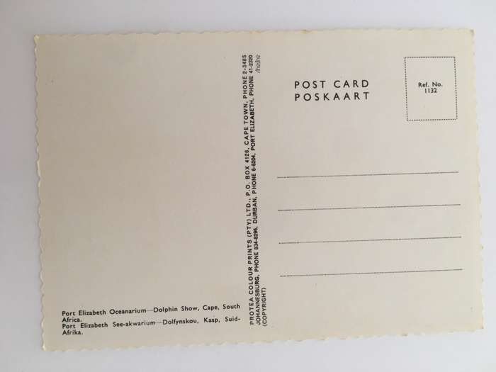 VINTAGE POSTCARD - PORT ELIZABETH - OCEANARIUM - DOLPHIN SHOW