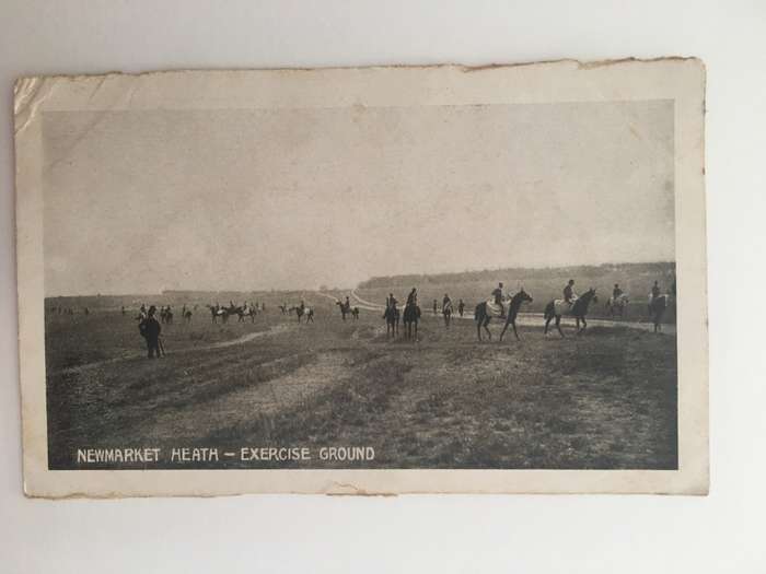 VINTAGE TO ANTIQUE POSTCARD - NEWMARKET HEATH