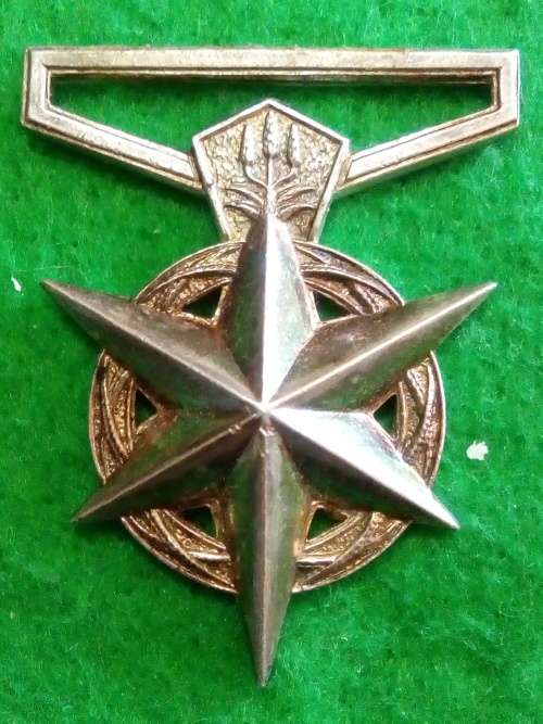 SA POLICE  MEDAL FOR COMBATING TERRORISM... FULL SIZE .. NAME NEATLY REMOVED