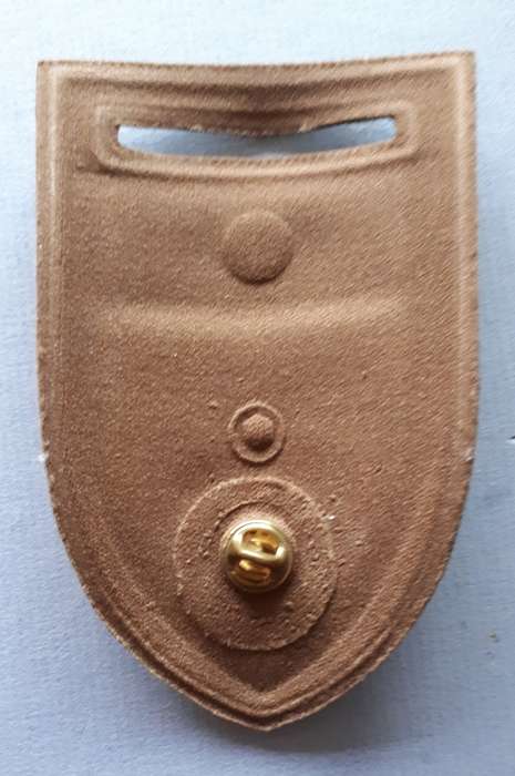 SADF -- GROUP 22 HQ (KIMBERLEY) WITH NORTHERN CAPE COMMAND BAR. -- PIN INTACT