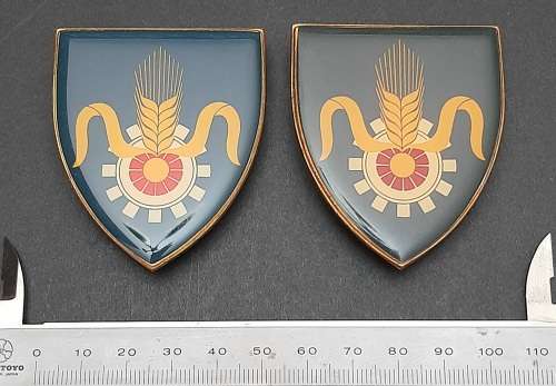 Border War 1970s SADF Quartermaster General Lucite Flash Pair Pins